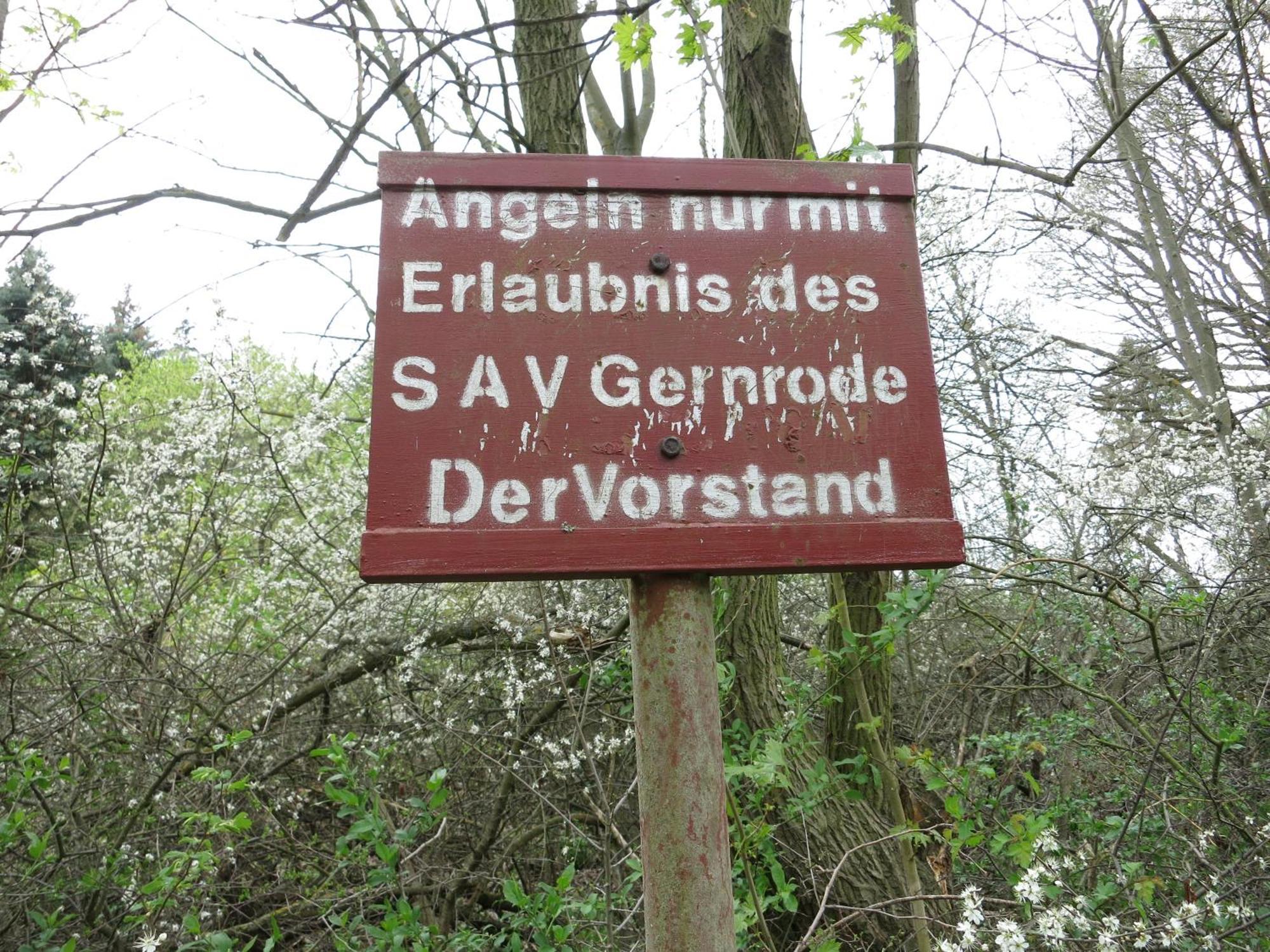 Bungalow Am Osterteich Gernrode  Buitenkant foto